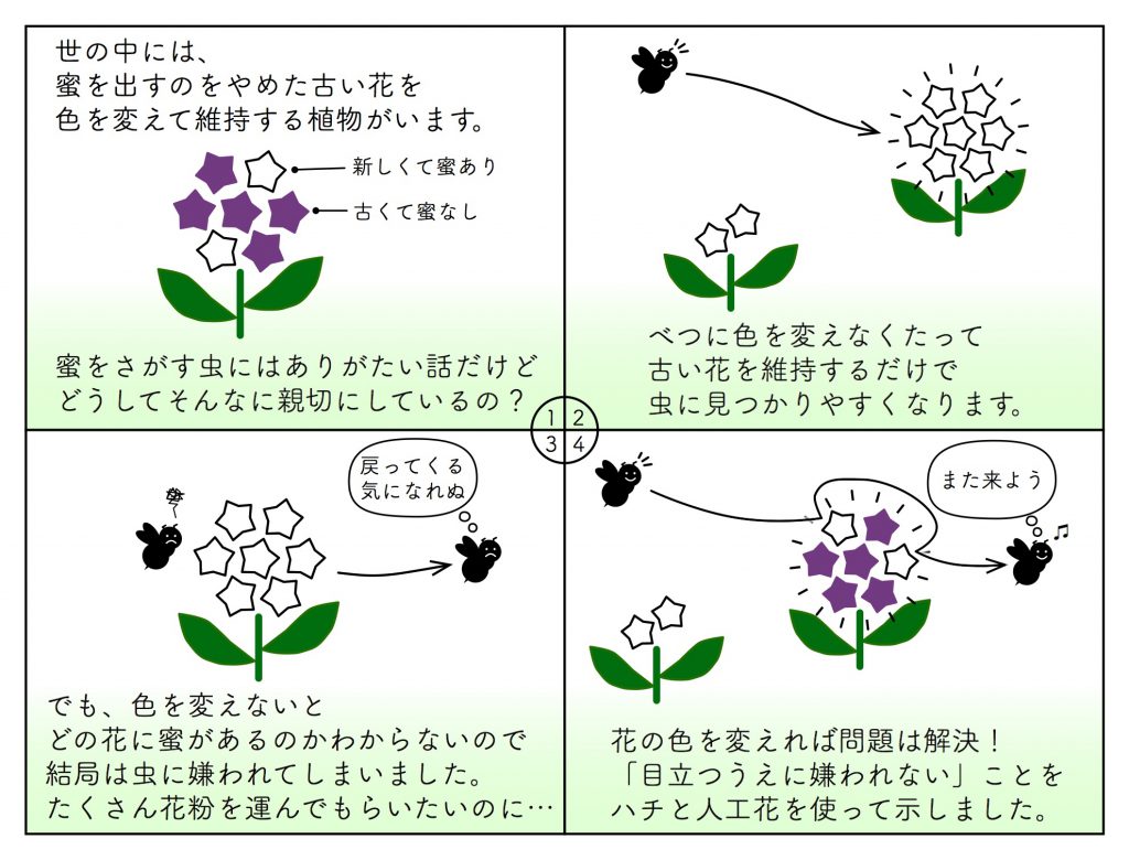 情けはハチの為ならず 花色変化に込められた植物のしたたかな戦略 Academist Journal