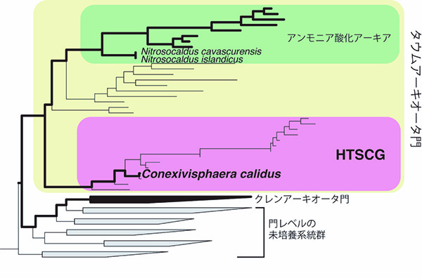 新しいスタイル 培養できない微生物たち 中古本・書籍 自然環境