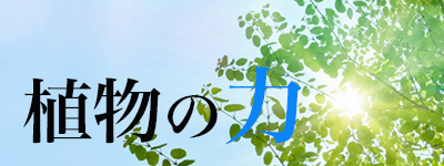 植物, 研究, 科学